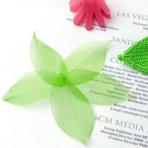 Natural Catbrier Skeleton Leav - Craft Embellishments avaliação e preço