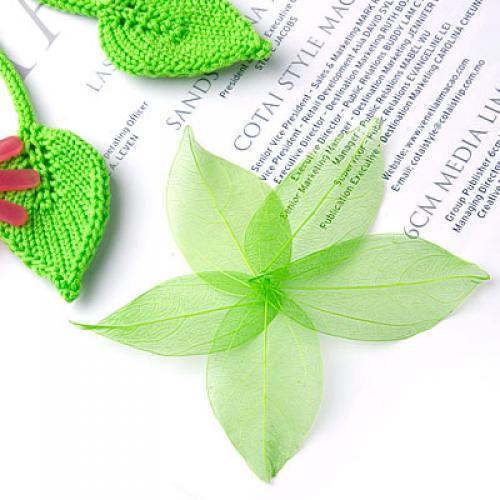 Natural Catbrier Skeleton Leav - Craft Embellishments avaliação e preço