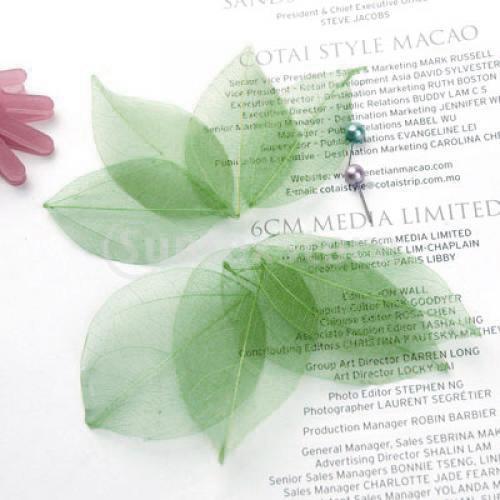 Natural Catbrier Skeleton Leav - Craft Embellishments avaliação e preço