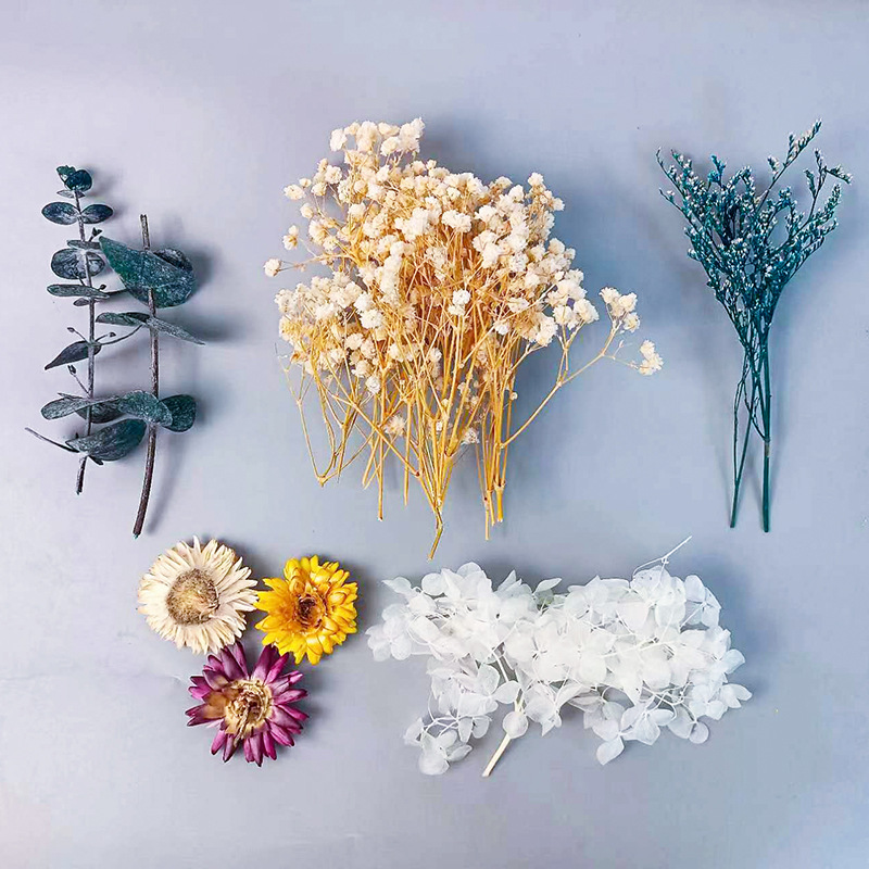 1pack Multifarious Dried Flowe - Craft Embellishments avaliação e preço