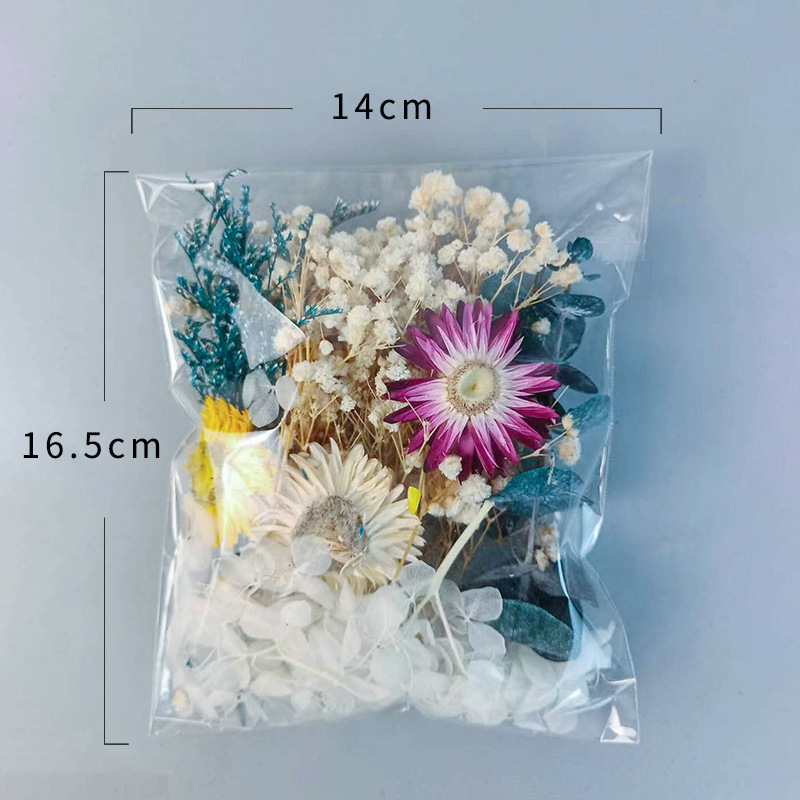 1pack Multifarious Dried Flowe - Craft Embellishments avaliação e preço