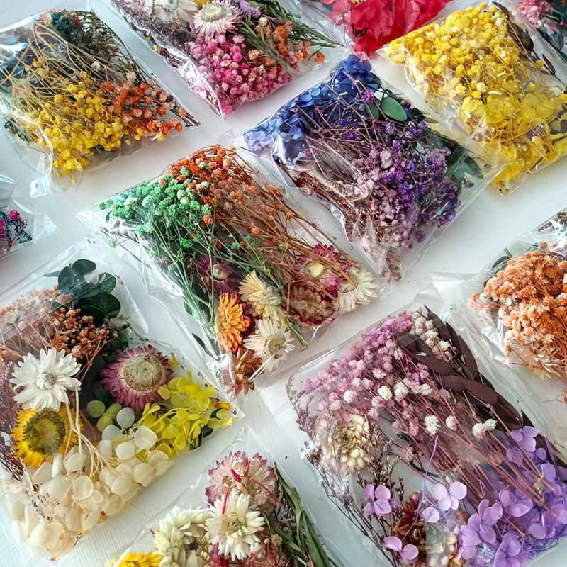 1pack Multifarious Dried Flowe - Craft Embellishments avaliação e preço